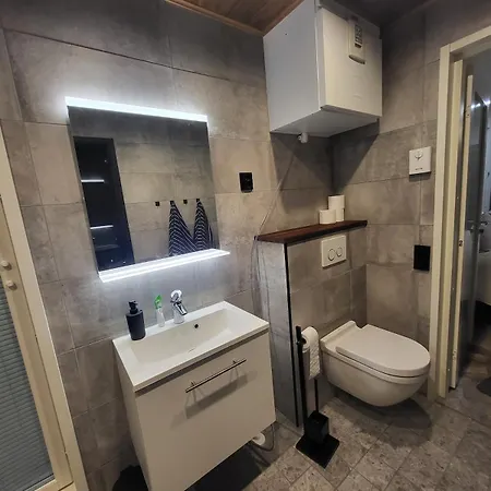 Cozy With A Wood Burning Sauna Rauma