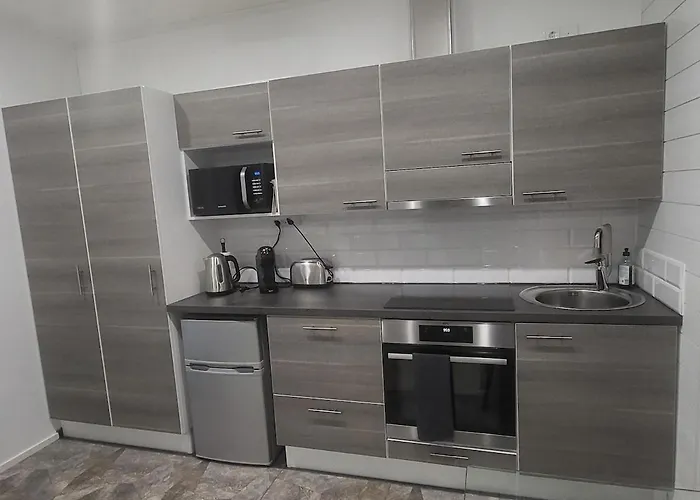 Cozy With A Wood Burning Sauna Rauma